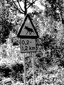 bitmap in bw